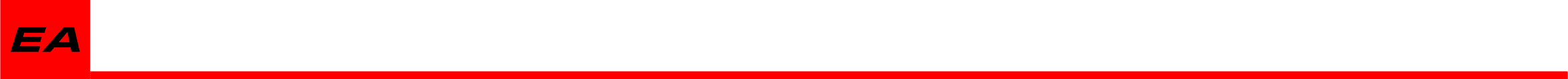 Divider Red